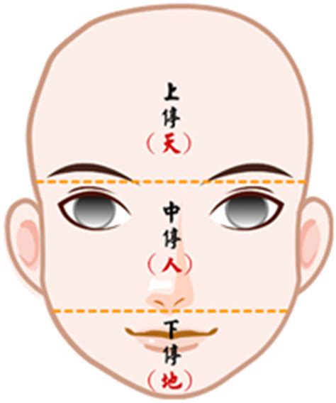 面相 年紀|【面相館】流年法 (流年法的計算、通行流年法、流年運氣解釋表。